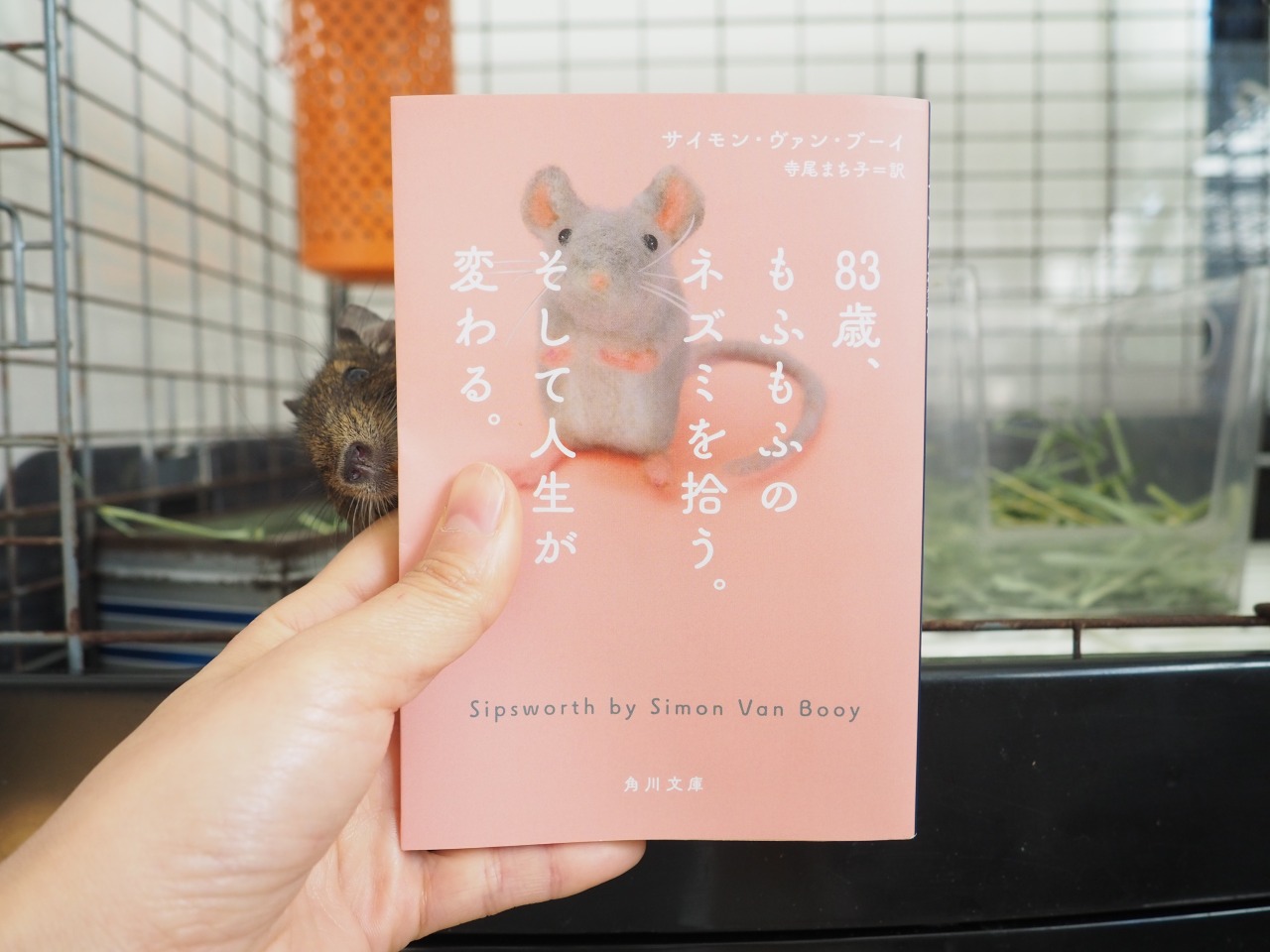 全てのネズミの飼い主に読んでほしい1冊「83歳、もふもふのネズミを